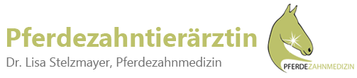 Pferdezahntierärztin